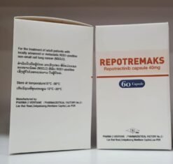 老挝二厂 瑞普替尼 Repotrectinib 的替代视图