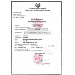 大熊制药 SODADX 吉三代 400mg/100mg 的替代视图