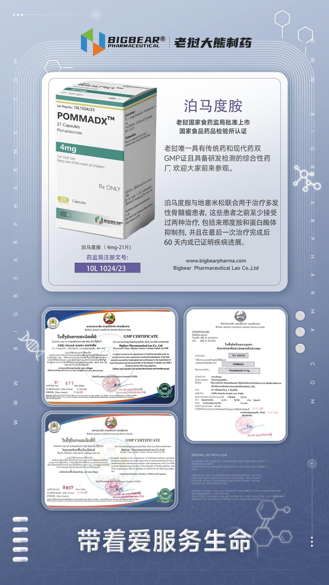 老挝大熊 BIGBEAR POMMADX 泊马度胺 Pomalidomide 4mg - 图片 3