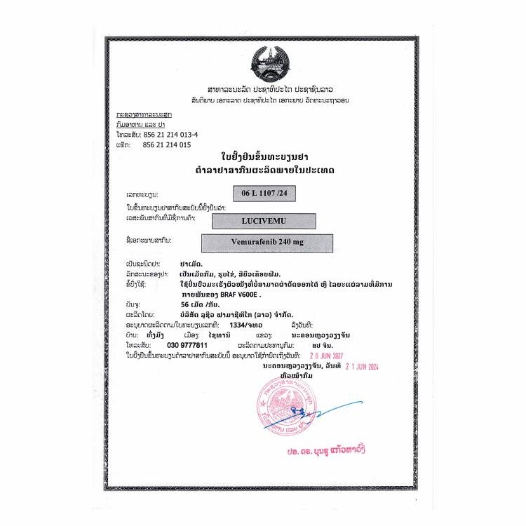 卢修斯 LuciVemu 维莫非尼 维罗非尼 Vemurafenib 240mg - 图片 2