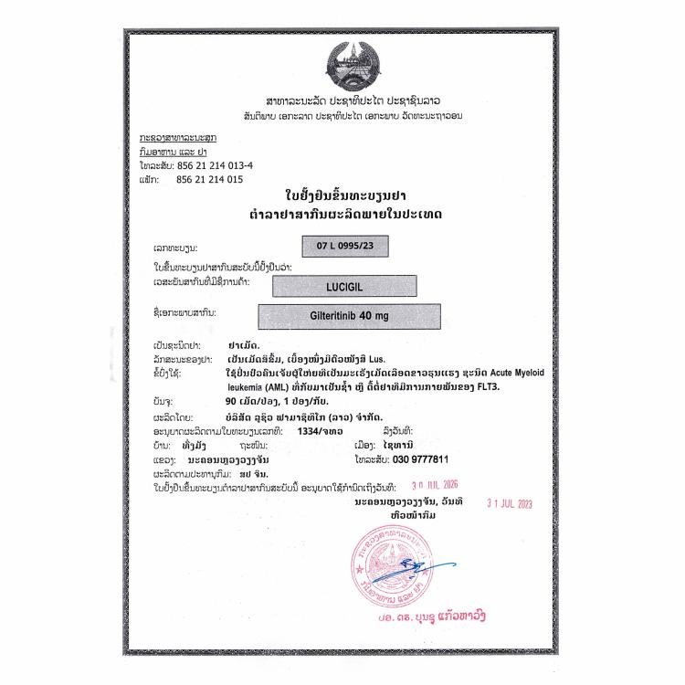 卢修斯 Lucius LuciGil 吉瑞替尼 Gilteritinib 40mg - 图片 2