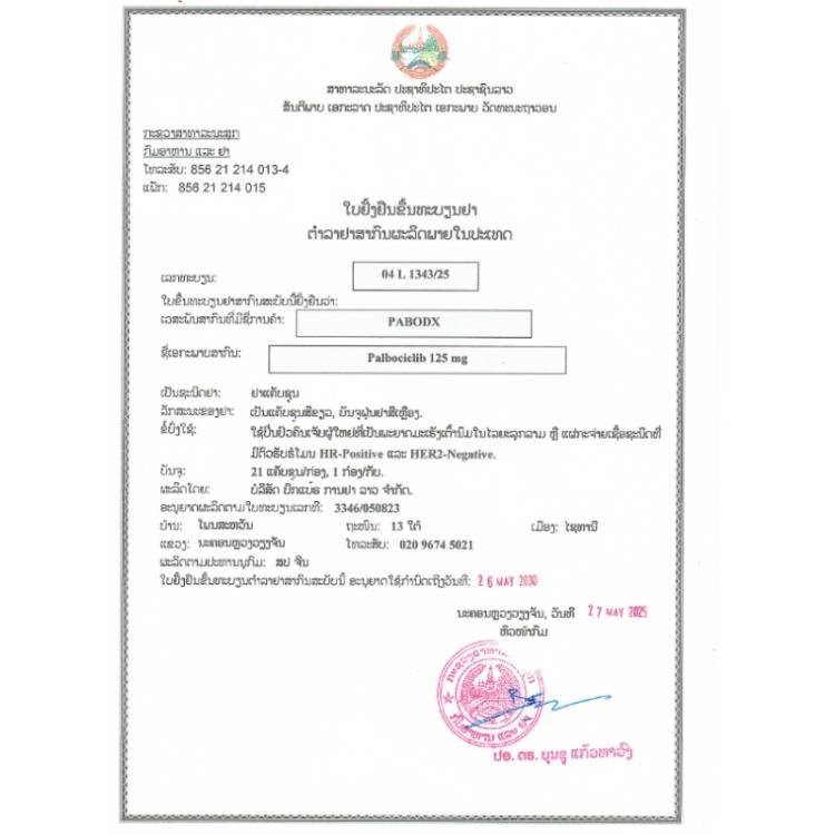 大熊制药 PABODX 哌柏西利 Palbociclib 125mg - 图片 2