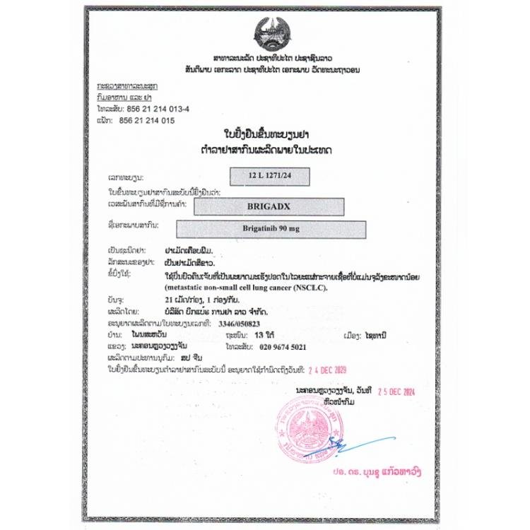 大熊制药 BRIGADX 布加替尼 90mg - 图片 2