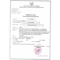 卢修斯 LuciAcor 阿考米迪 Acoramidis 356mg 的替代视图