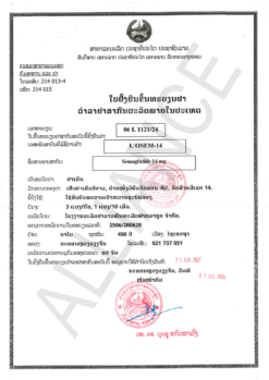 联合制药L'Osem司美格鲁肽口服片30片装 的替代视图